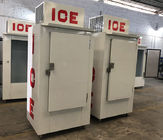 Merchandiser del ghiaccio insaccato parete fredda per uso all'aperto