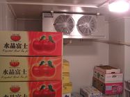 Mini tipo di raffreddamento a aria della stanza di conservazione frigorifera per il congelamento di verdure di frutti