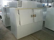 Le 2 porte commerciali hanno insaccato i contenitori del contenitore di congelatore di stoccaggio del Merchandiser del cubetto di ghiaccio