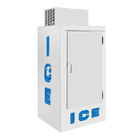 Cu commerciale dell'interno del congelatore 30 del ghiaccio. Piedi tipo freddo recipiente della parete di immagazzinamento nel ghiaccio