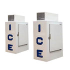Singolo congelatore verticale di immagazzinamento nel ghiaccio della porta, CE all'aperto del Merchandiser del ghiaccio della parete fredda