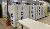 Singolo congelatore verticale di immagazzinamento nel ghiaccio della porta, CE all'aperto del Merchandiser del ghiaccio della parete fredda