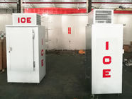 Singolo Merchandiser del ghiaccio del congelatore di immagazzinamento nel ghiaccio della porta per CE dell'interno