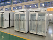 congelatore di frigorifero verticale dell'esposizione del congelatore di vetro commerciale della porta 1000L