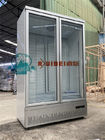 Il surgelatore di raffreddamento del congelatore di comando digitale del fan di vetro commerciale della porta visualizza l'alimento ed il gelato congelati