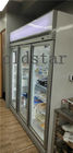 Congelatore verticale su misura del supermercato per l'esposizione congelata dell'alimento