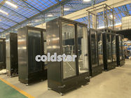 Congelatore di vetro di raffreddamento dinamico dritto commerciale dell'esposizione del gelato della vetrina del congelatore della porta del doppio 2 di -22C