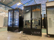 Congelatore verticale del contenitore per esposizione di grande capacità con la doppia porta di vetro