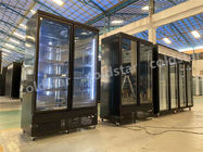Doppio congelatore verticale commerciale di vetro delle porte 1000L con il compressore di SECOP
