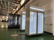 congelatore verticale dell'esposizione 450L con la porta di vetro