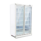 Frigorifero e congelatore di vetro verticali rumorosi bassi del gelato dell'esposizione della porta