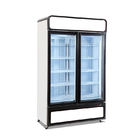 Il congelatore dritto dell'esposizione del gelato della doppia porta con automatico disgela la porta di vetro