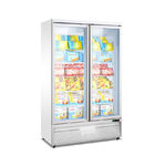 Congelatore verticale del contenitore per esposizione di grande capacità con la doppia porta di vetro