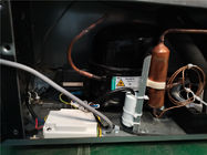 Dispositivo di raffreddamento posteriore di vetro di Mini Fridge Desktop Under Bar del dispositivo di raffreddamento di Antivari della porta a battenti