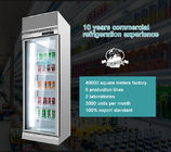L'annuncio pubblicitario beve il dispositivo di raffreddamento dritto della porta dell'esposizione della soda di vetro del refrigeratore