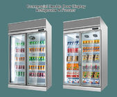 Bibite commerciali della soda della birra e dispositivi di raffreddamento dritti dell'esposizione della bevanda fredda con 2 Front Door di vetro