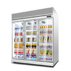 Congelatore verticale di grado del plugin -22 del supermercato con la porta di vetro
