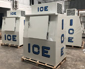 Merchandiser all'aperto del ghiaccio della parete fredda, Cu 38. Piedi congelatore della borsa per il ghiaccio