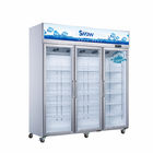 Visualizzi il congelatore di frigorifero freddo dell'esposizione della vetrina delle porte di vetro del doppio del congelatore 500l di pepsi-cola