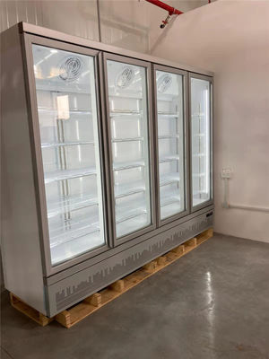 Carel Thermostat Commercial Upright Freezer per alimento congelato